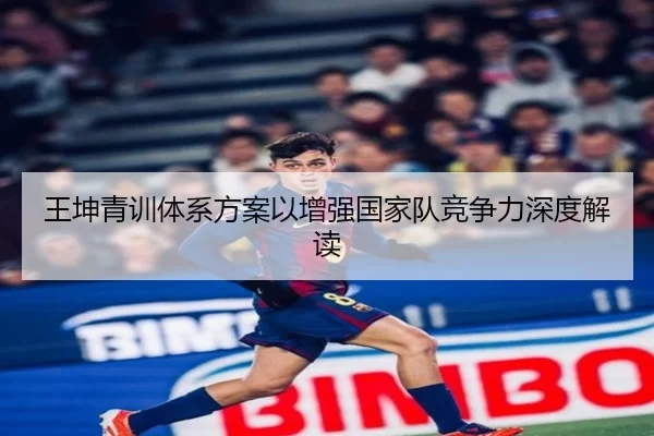 王坤青训体系方案以增强国家队竞争力深度解读